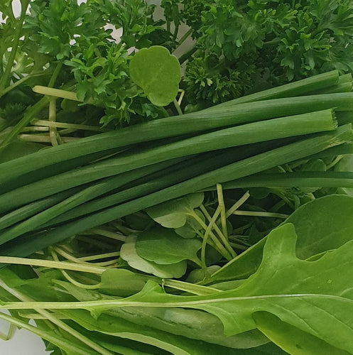 Salad Herbs